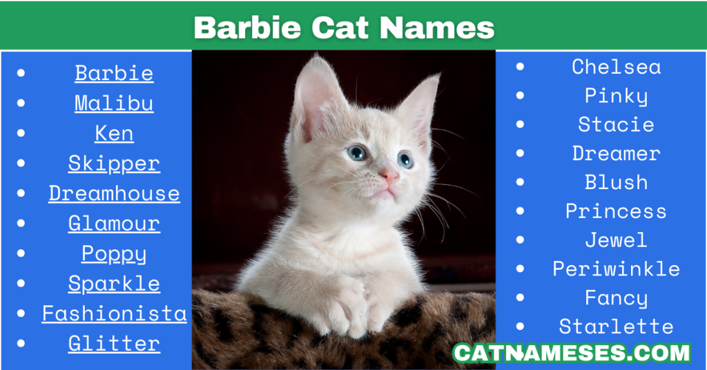 Barbie Cat Names