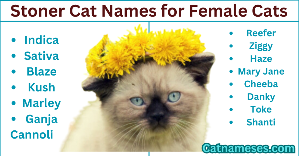 stoner cat names female