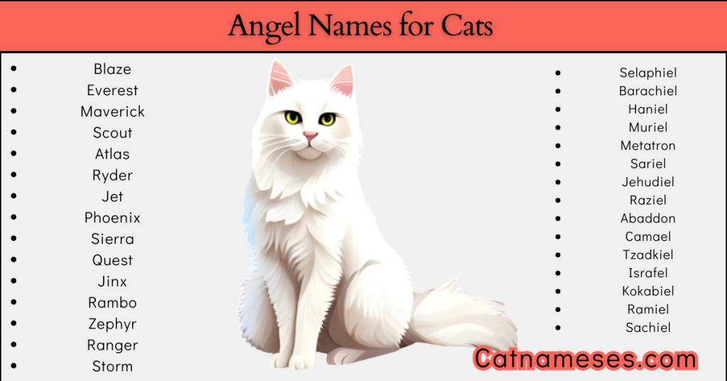 Angel Names for Cats