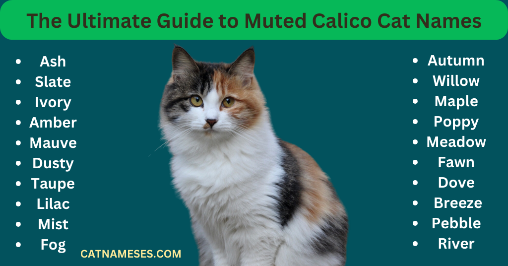 The Ultimate Guide to Muted Calico Cat Names
