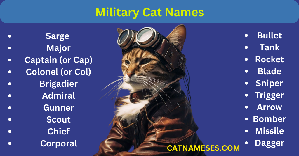 Military Cat Names