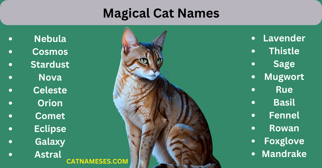 Magical Cat Names