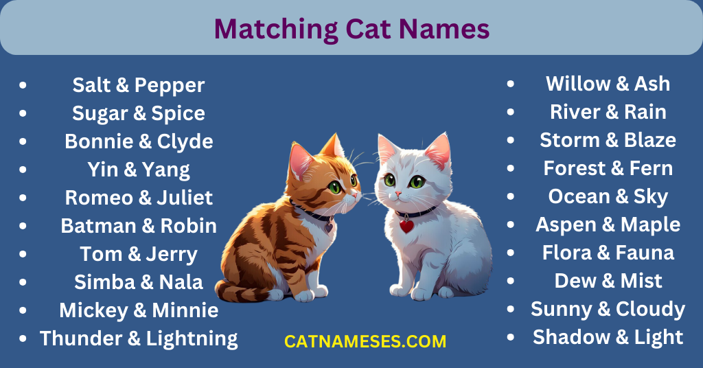 Matching Cat Names