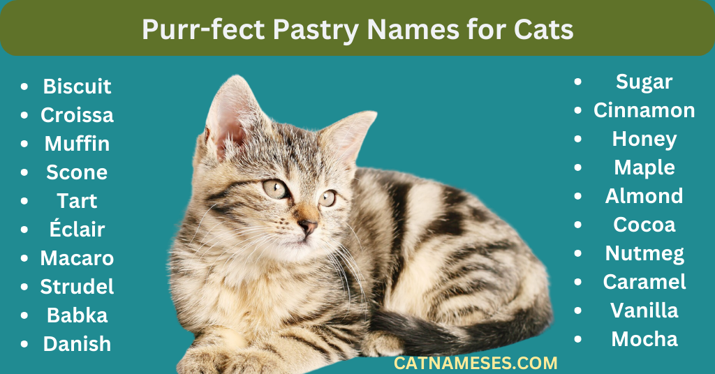 Purr-fect Pastry Names for Cats